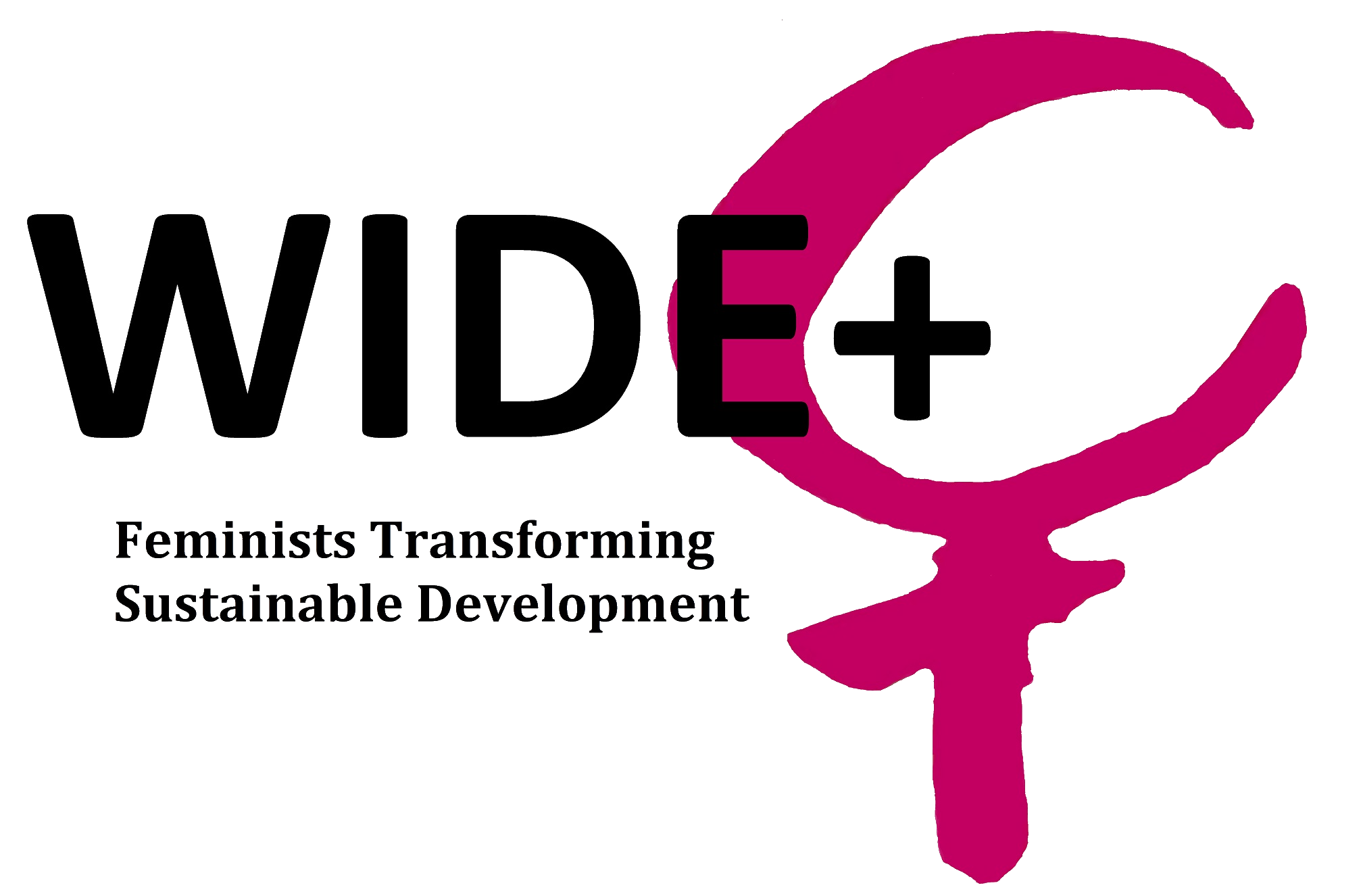 Logo WIDE+